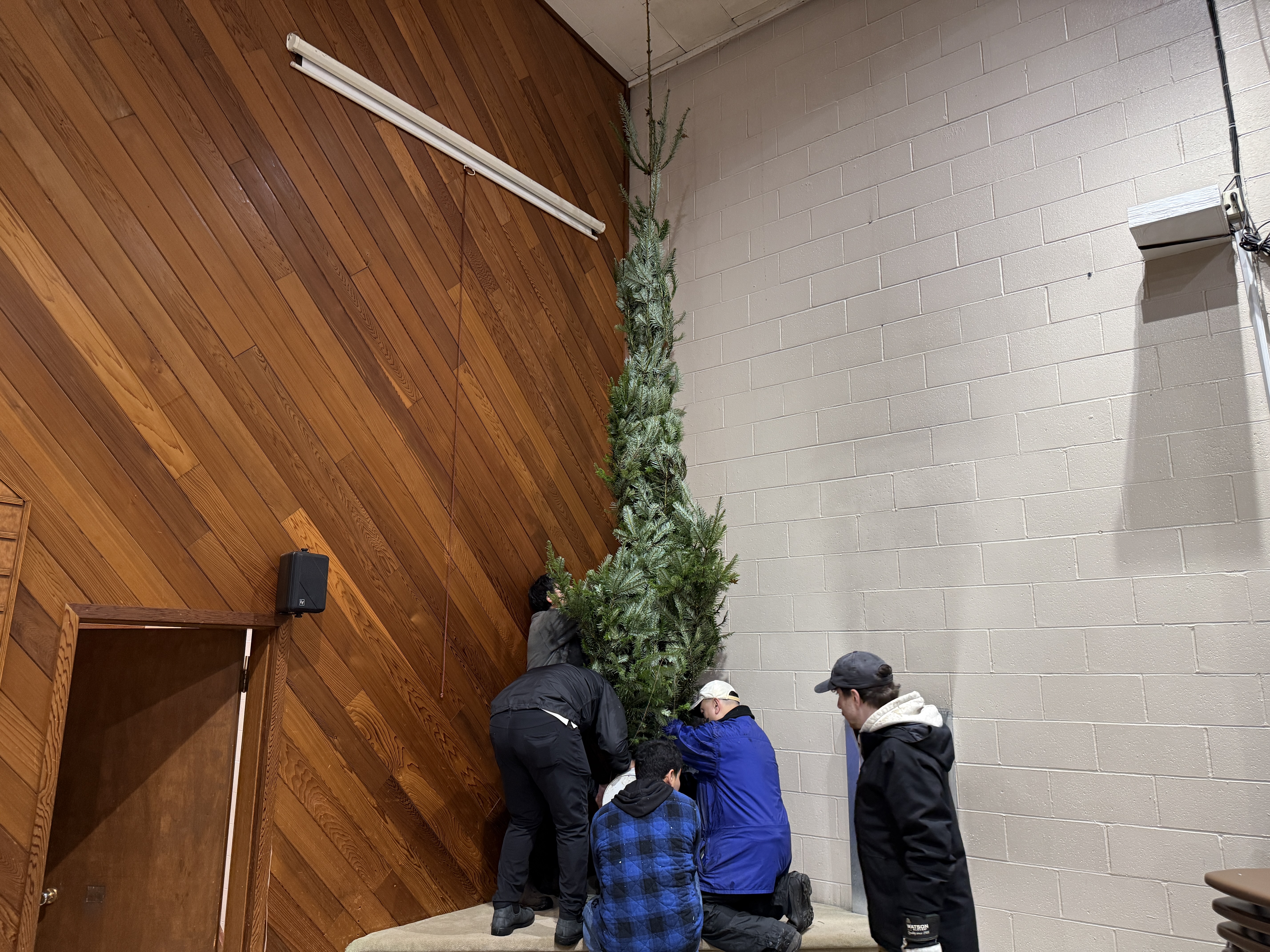 Stepping back to check the vertical alignment.