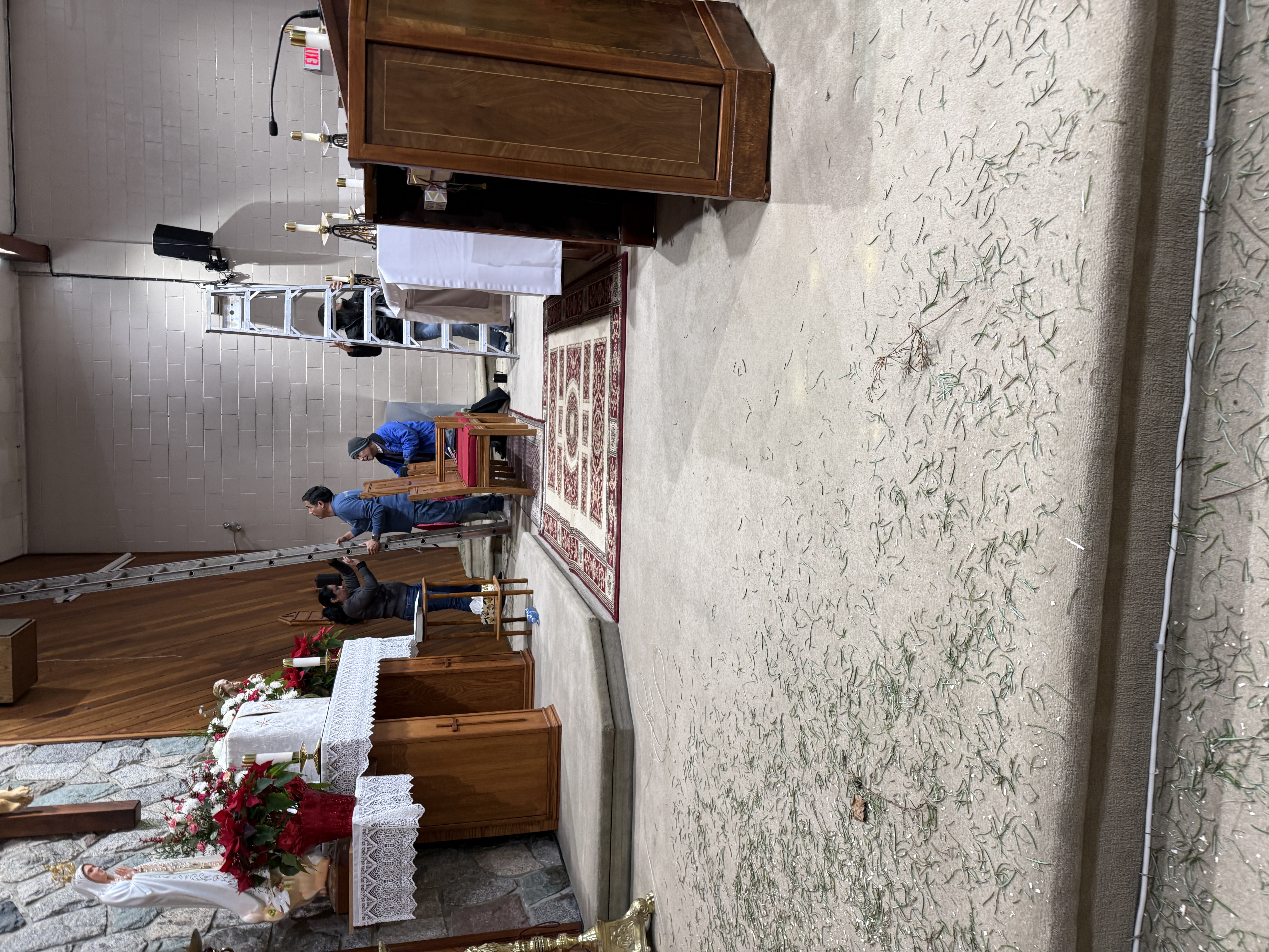 Volunteers removing the Christmas trees